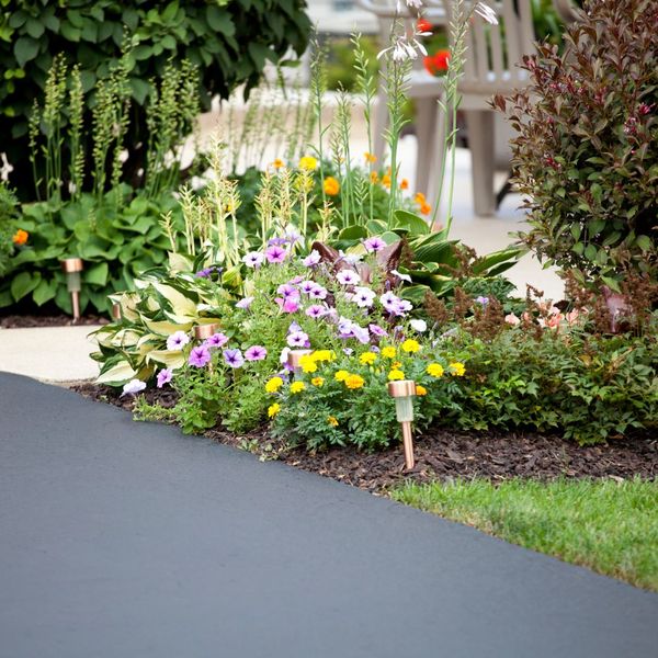 An asphalt driveway next to flowers