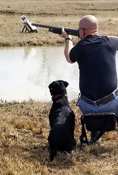 Retriever training, duck dog training, hunting dog trainer