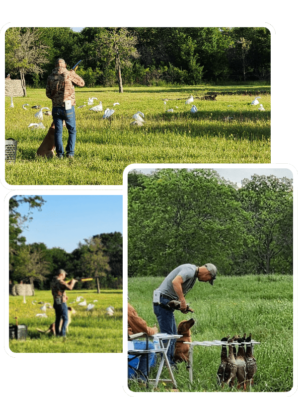 AKC Hunt Test Trainer