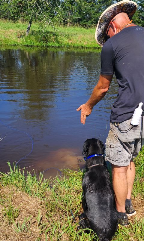 Teach Water blinds to a dog.jpg