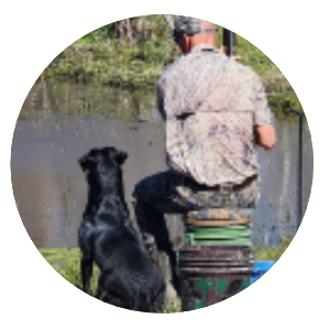  retriever training for hunting dog,  retriever training for lab, retriever trainer near houston,  hunt test,   hunting retriever trainer