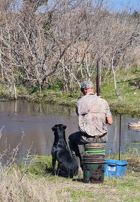 Matt Larkin Professional Hunt Test Trainer