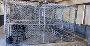 pet Boarding facility palestine crockett grapeland.jpg