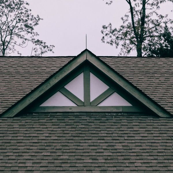 new shingles