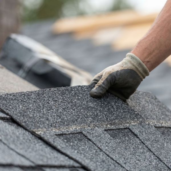 premium shingles