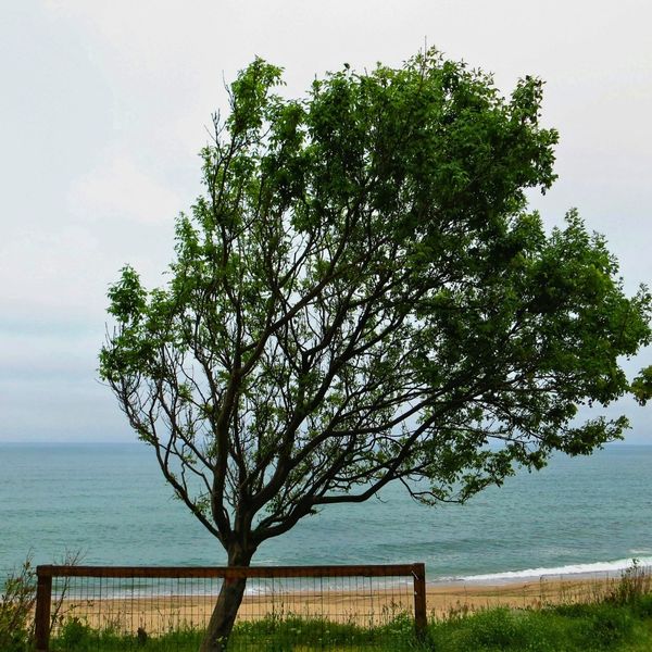 Coastal Roofing Protecting Your Home from Salt Air High Winds-2.jpg