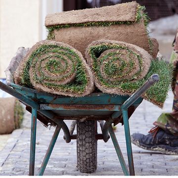 Landscaping