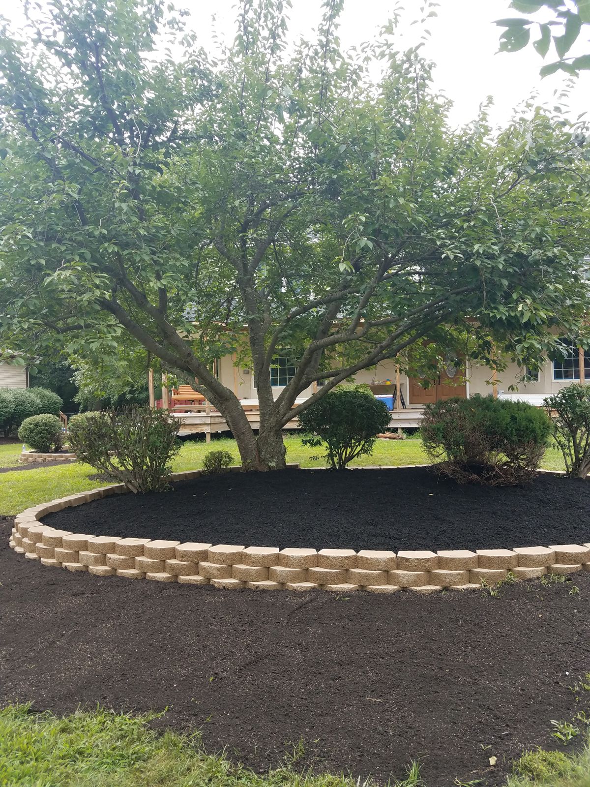 tree with installed border 1.jpg