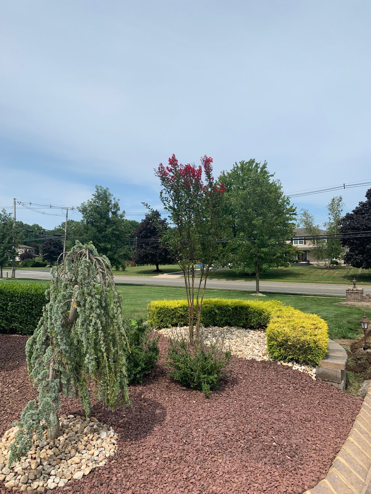 BEAUTIFUL LANDSCAPING 2 rotate.jpg