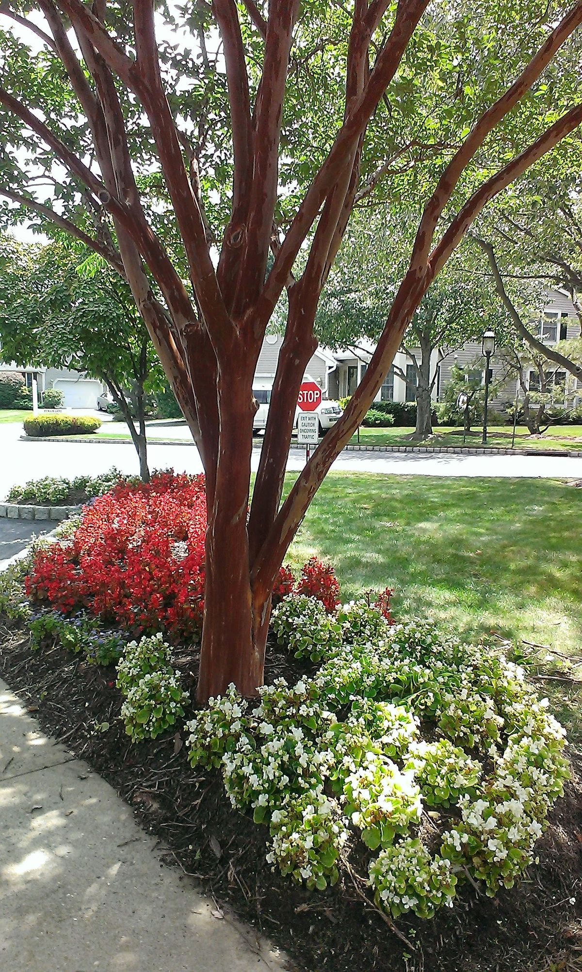 BEAUTIFUL LANDSCAPING.jpg