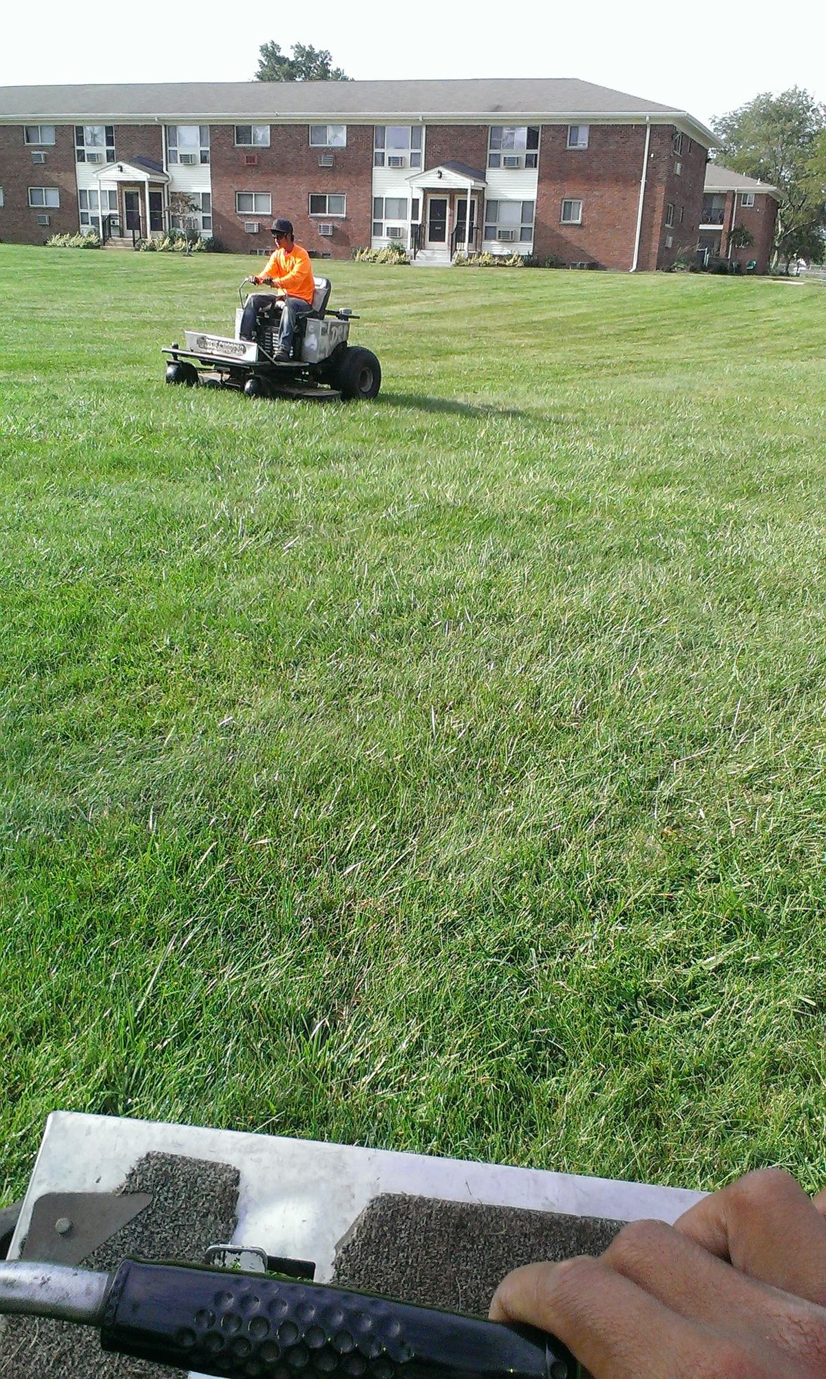 mowing.jpg