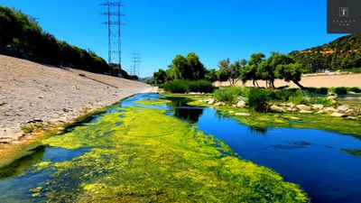 Shutterstock_2330768049-4.jpg