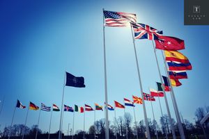 Shutterstock_2284120417-3 copy.jpg