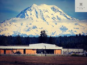 Shutterstock_1201428055-2.jpg