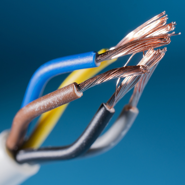 Fulton County - Image 1.png