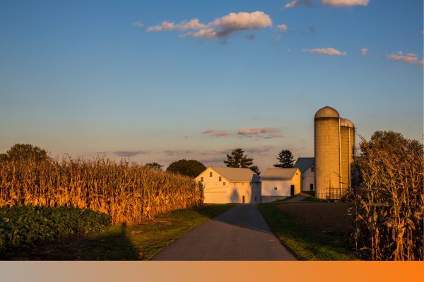 farm farm