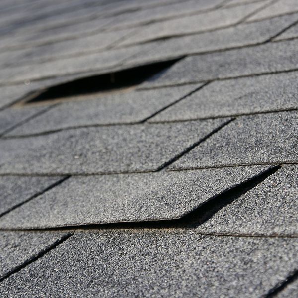 damaged shingles