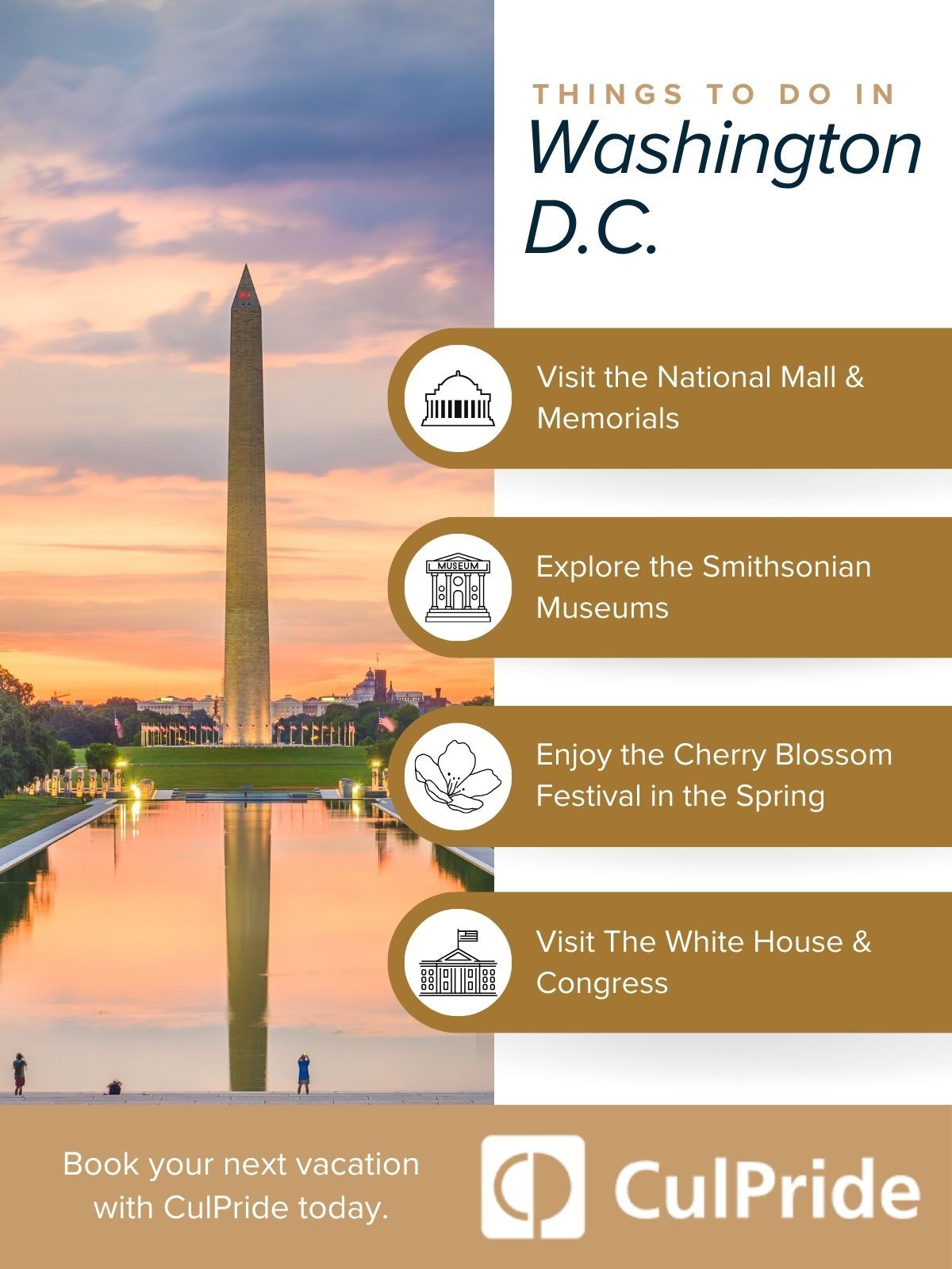 M40427 - Infographic - Things to Do in Wasington D.C..jpg