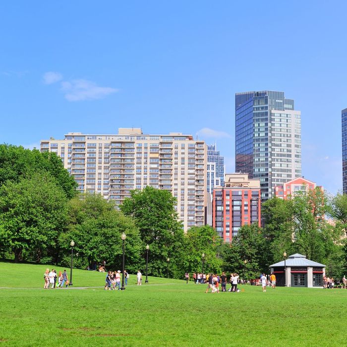 Boston public garden