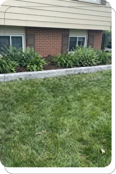 Invisible Fence 1.png