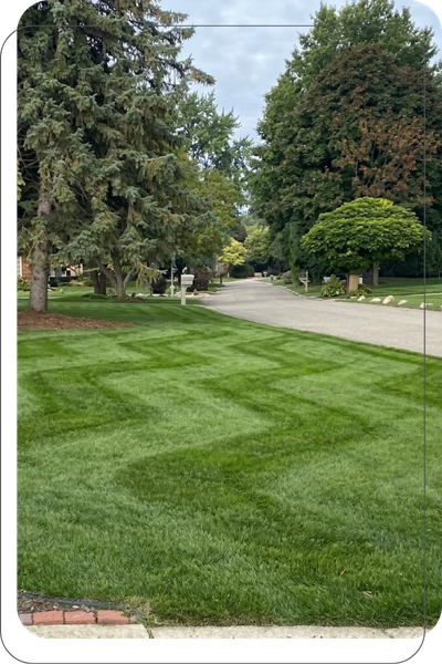 LAWN MOWING img 2.png
