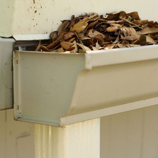 4 Gutter Maintenance Tips to Prevent Costly Home Repairs 1.jpg