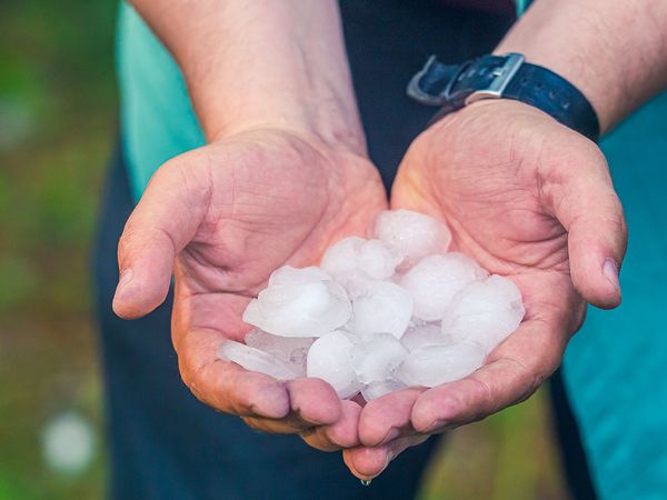 Hail being held in a man’s hands.