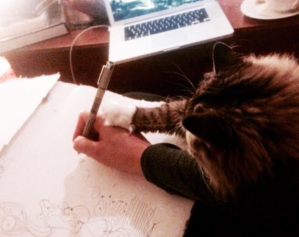 Angela's cat demonstrating artistry skills