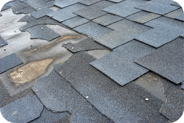 roofing services.