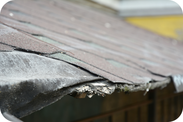 roofing services.