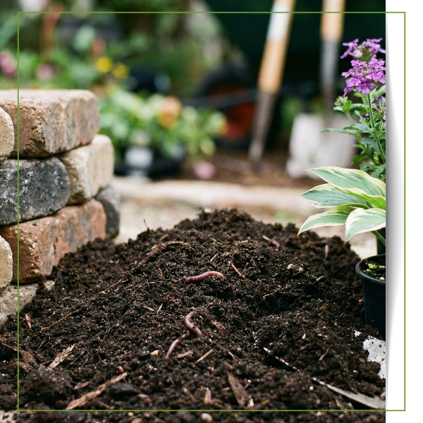 landscaping materials including stone pavers, rich soil, and healthy plants
