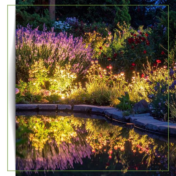 Landscape Lighting in Garden at Night