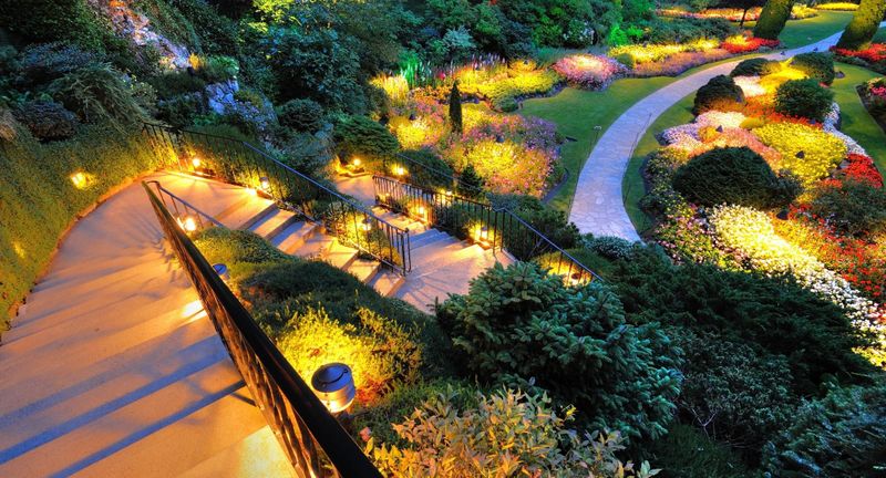 Plant Selection - Hero.jpg