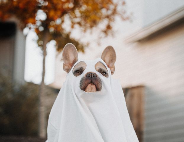 karsten-winegeart-lKAxn648B7A-unsplash (1).jpg