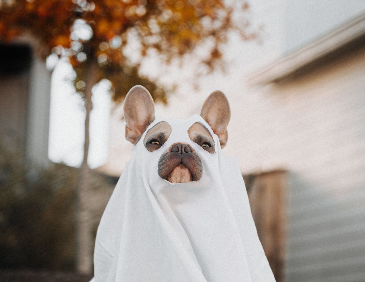 karsten-winegeart-lKAxn648B7A-unsplash (1).jpg