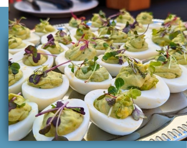 Untitled design (1).png