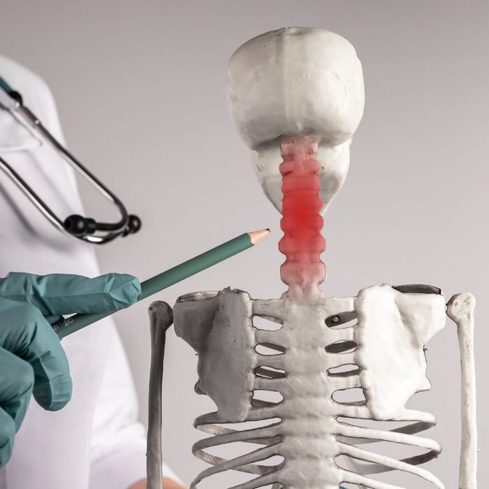 Chiropractor pointing to the neck bones on a skeletal model. 