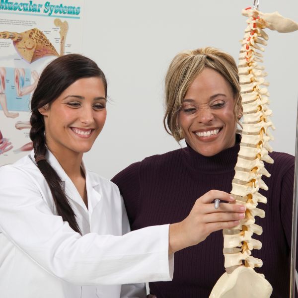 Chiropractic using a spine model to explain something to a patient. 