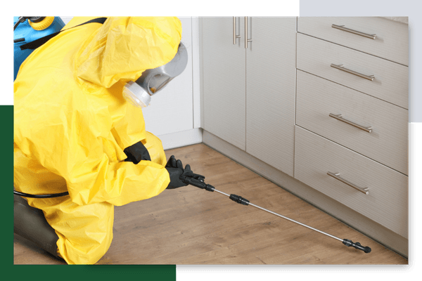 pest control tech spraying baseboards 