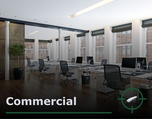 Commercial.jpg