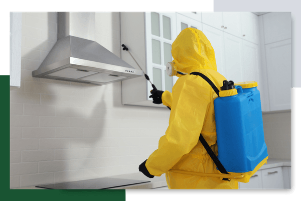 pest control tech spraying in kitchen