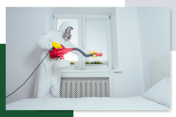 pest control tech spraying in a bedroom