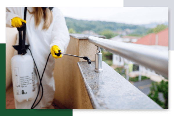 outdoor pest control spray