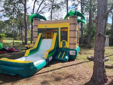 tropical bounce house with waterslide into a  pool $169