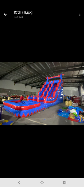 $279 20 ft tall DUAL lane tropical waterslide into a large pool