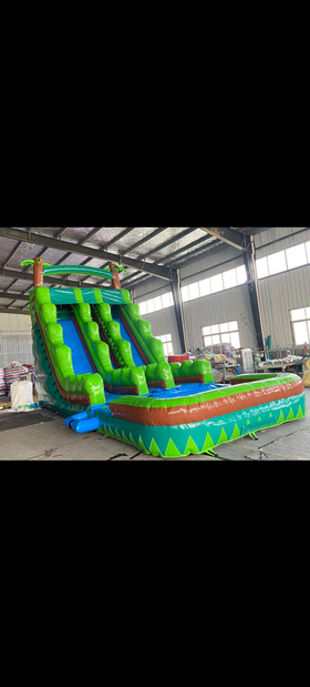 $279 20 ft tall DUAL lane tropical waterslide into a large pool