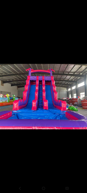 $279 20 ft tall DUAL lane tropical waterslide into a large pool