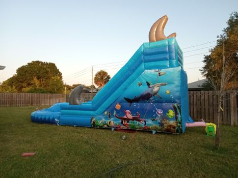 $189 Shark waterslide. Pool at end of slide. 16 ft tall $189 Shark waterslide. Pool at end of slide.
