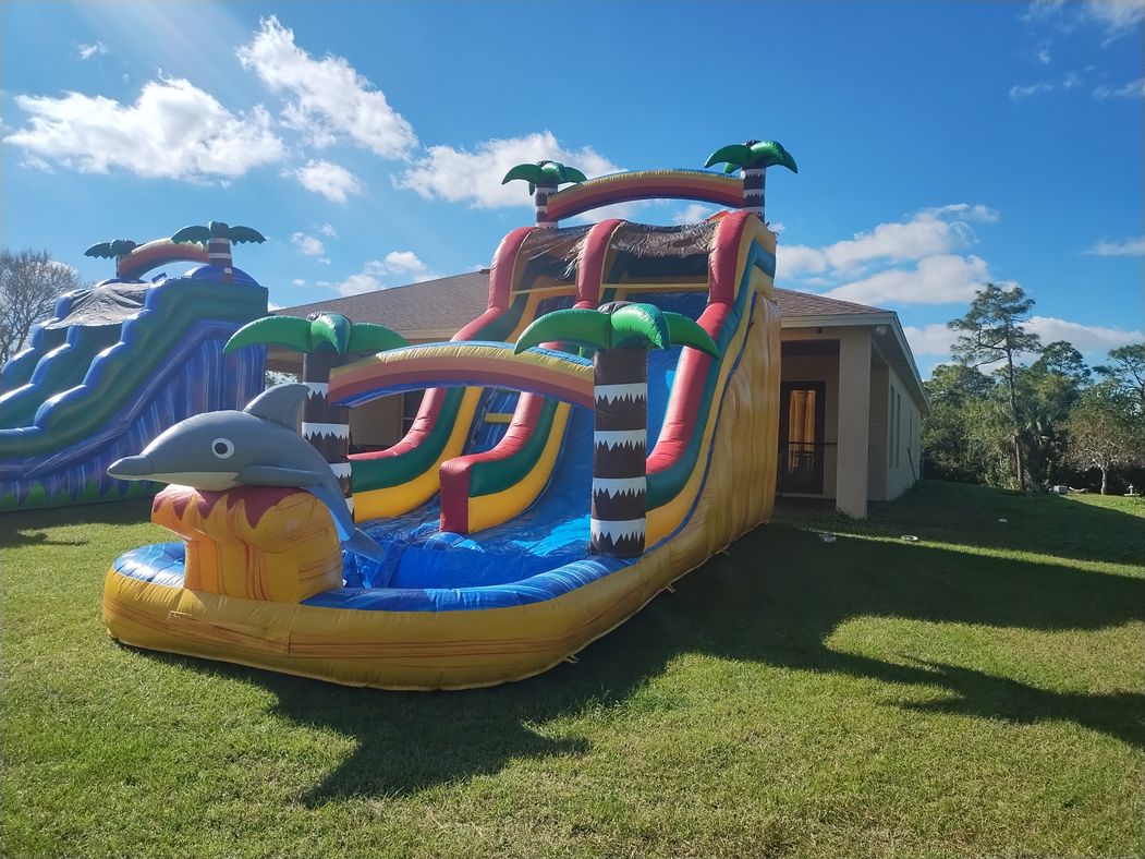 $230 large dolphin tropical waterslide with wide slide into a pool