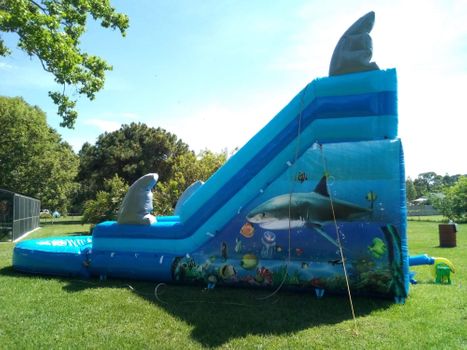 dolphin slide dolphin slide